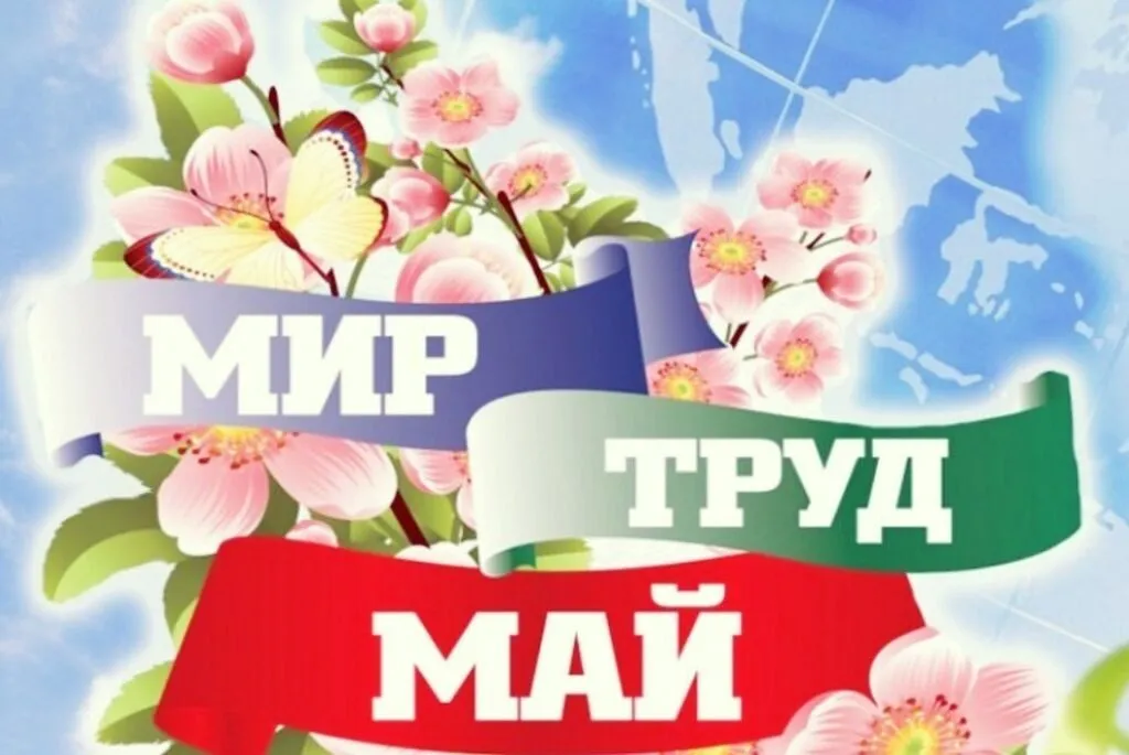 _5oyDkGm69s