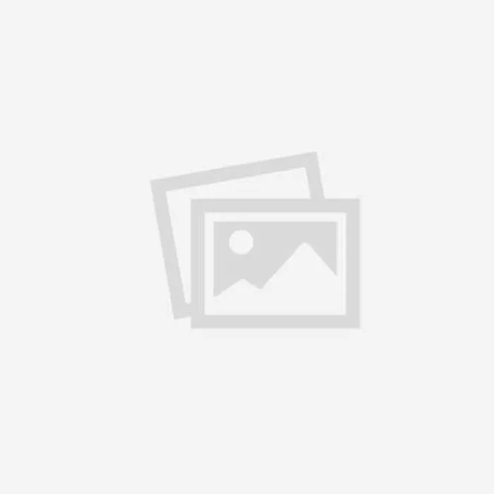 Салон Марии Волконской