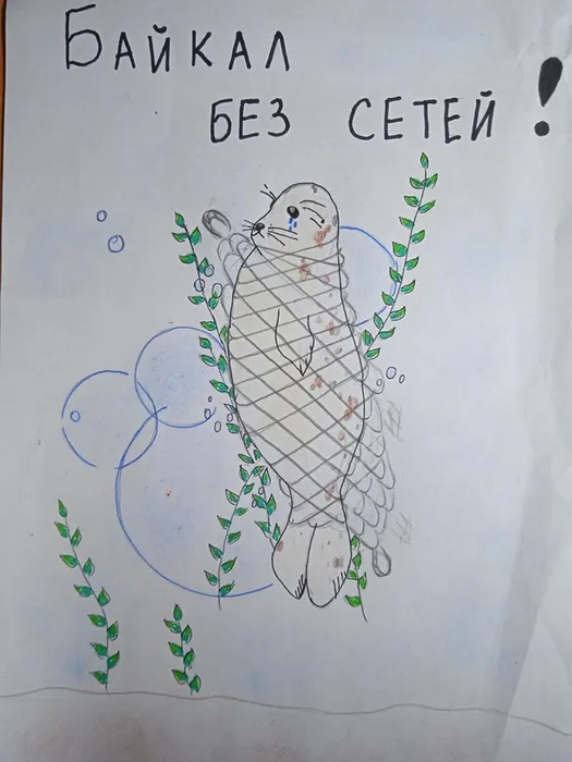 Ефимова София 3 д